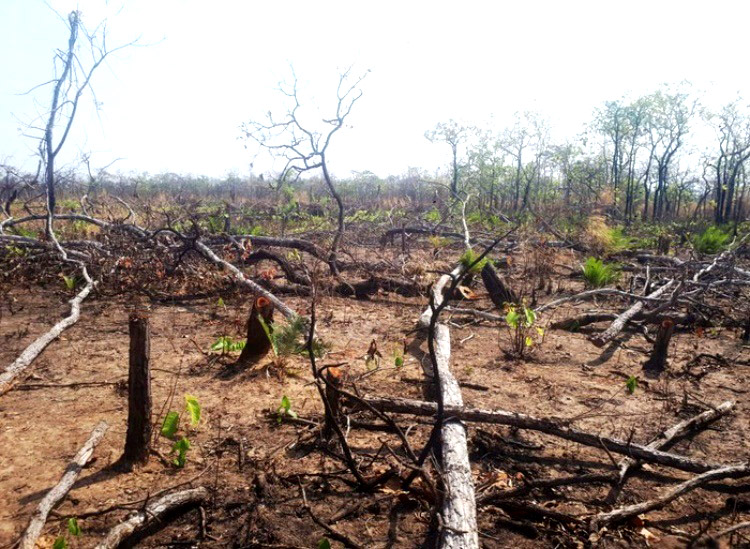 Thông tin từ đường dây nóng